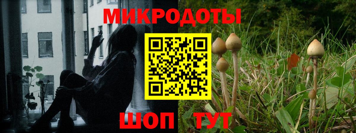 Кодеин Камышлов