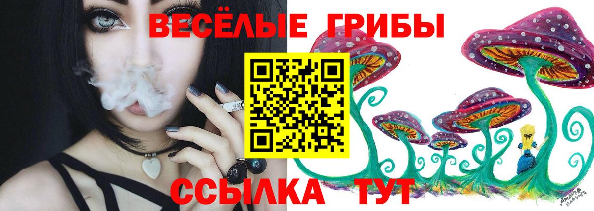 Камышлов  как найти наркотики  Вход с VPN  Псилоцибиновые грибы прущие грибы 