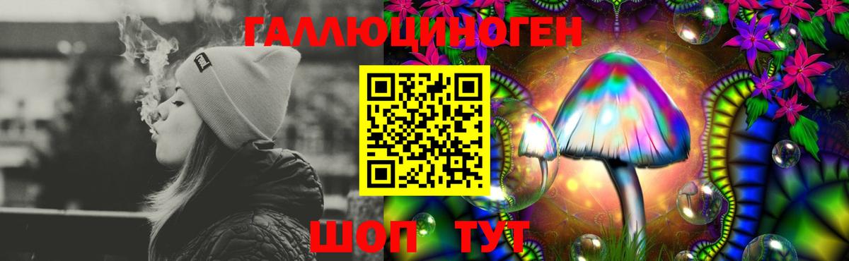 Псилоцибиновые грибы мицелий Камышлов